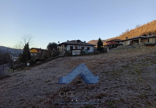 CO.MED - - TERRENO EDIFICABILE Borgo di Terzo (BG)